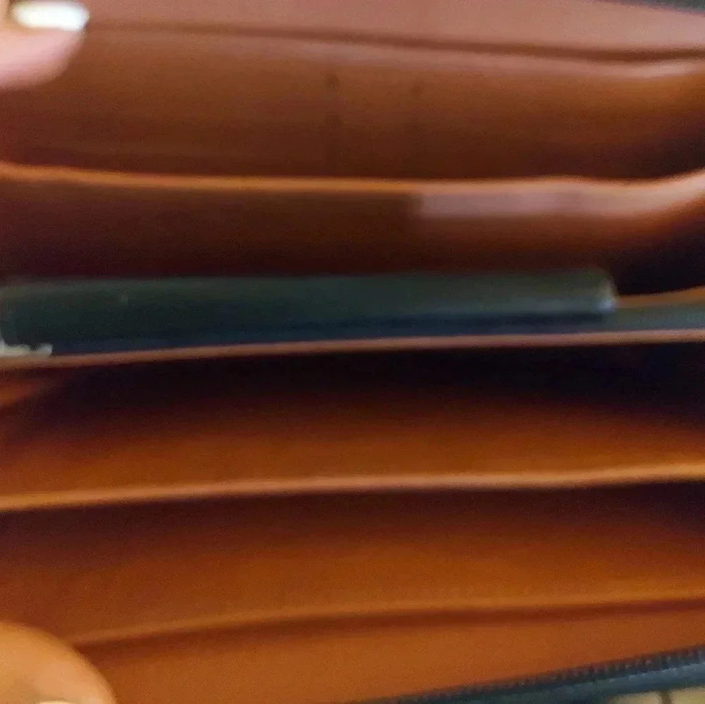 LOUIS Cardini Leather Travel Wallet with wrist strap